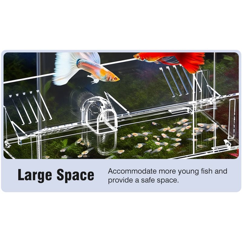 Caja de cría de peces A25F, ca - Lab Incubator reseña y precio